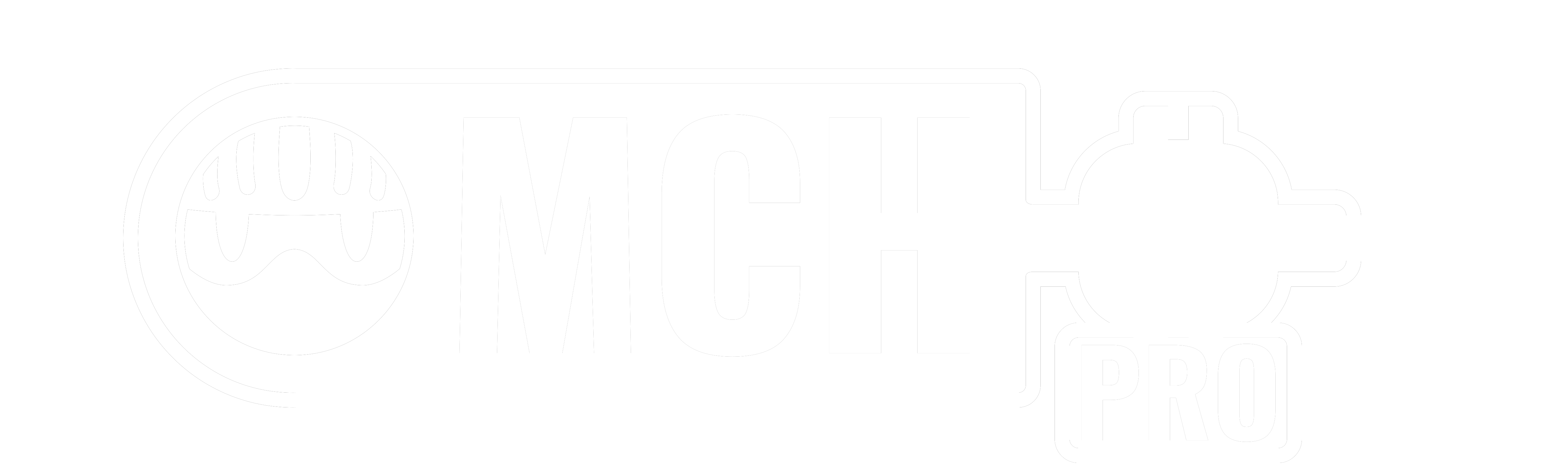 MCH+